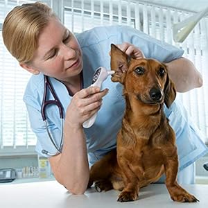Voiceoffpetnoncontactearthermometerveterinaryearthermometerwithceandfdacandfswitchablesuitableforhomedailyhealthcheck Urban Country Home Decor Voice off pet non contact ear thermometer veterinary ear thermometer with ce and fda c and f switchable suitable for home daily health check urban country home decor