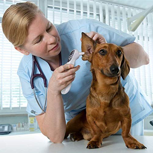 Voiceoffpetnoncontactearthermometerveterinaryearthermometerwithceandfdacandfswitchablesuitableforhomedailyhealthcheck Urban Country Home Decor Voice off pet non contact ear thermometer veterinary ear thermometer with ce and fda c and f switchable suitable for home daily health check urban country home decor