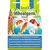 Tetra Pond Wheatgerm 7 L