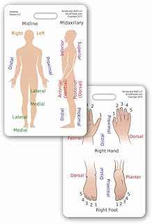 Anatomy & Anatomical Positioning Vertical Badge ID Card Pocket Reference Guide