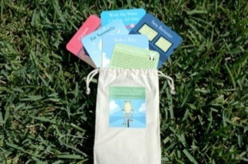 Easy Going Green Flashcards Julie Radlauer livre de cartes écologiques format poche
