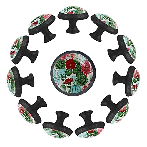 Boutons de tiroir cactus ronds de 35 mm au motif végétal pour commode
