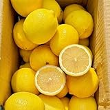 semillas de limonero - limonero - orgánicas, variedades antiguas de limon resistentes para el jardín, raras, 15pcs