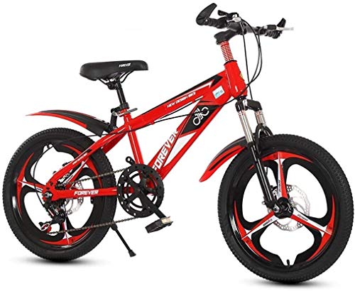 For Sale! TANGIST 20Inch Variable Speed Mountain Bike, Comfortable Saddle, Nonslip Pedal, Kids Bike,...
