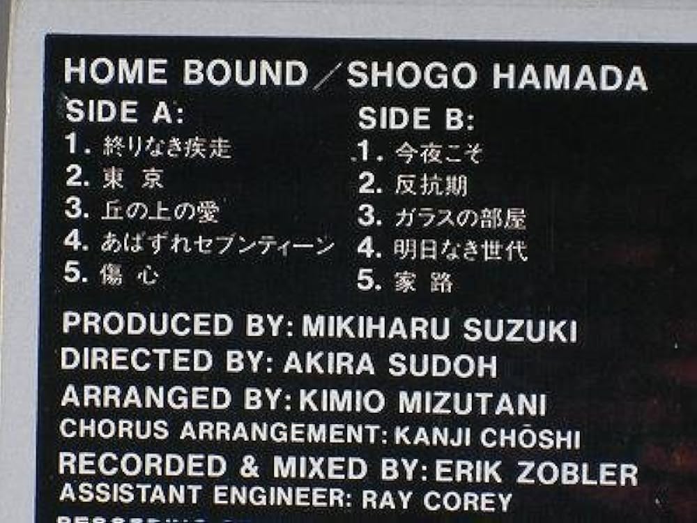 BIOHAZARD NYHC ハードコア LPレコード 12inch バラ売り可 NYHC ハードコア パンク レコード 1