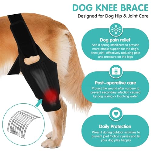 Image of Dog Knee Brace for ACL & Ligament Injuries | Adjustable Back Leg Support & Compression Wrap | Helps with Patella Dislocation, Osteoarthritis & Sprains | Multifunctional Protection (Large)