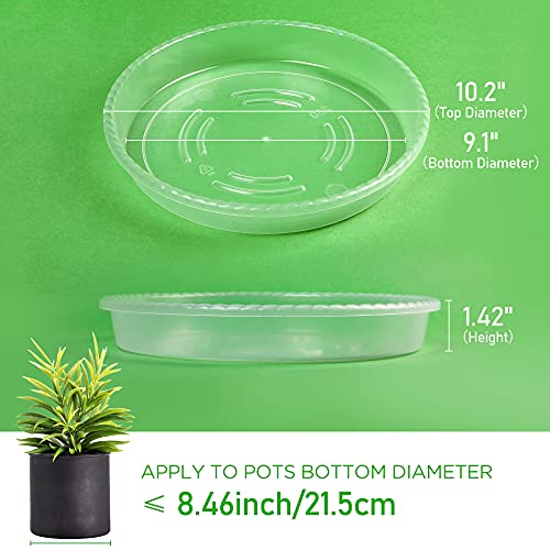 Lotfancy Plant Saucer, 6 Pack Of 10 Inch, Clear Plastic Plant Trays For Pots, Thick 35Gram Durable Flower Pot Base, Plant Plate To Catch Water For Indoors Outdoors #TOP2