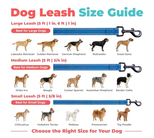 Image of Best Pet Supplies Voyager Reflective Dog Leash or Collar with Neoprene Handle, for Small, Medium, and Large Breed Puppies, Cute and Heavy Duty for Walking, Running and Training - Royal Blue (Leash), M