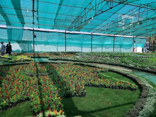 Image of Multipurpose Green Shade Net | UV-Stabilized Agro & Garden Net | Blocks 75% Sunlight (10 ft X 10 ft) (10x10ft)