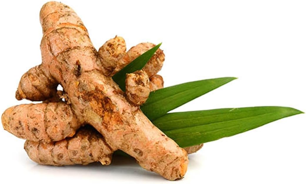 FreshToHome Turmeric 200g (India)