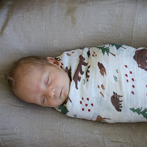 Red Rovr 100% Certified Organic Cotton Muslin Swaddle | Newborn Receiving Blanket | Baby Wrap | Boy, Girl, Unisex | Soft, Lightweight, Breathable | Burping, Nursing | 44" X 44" | Bear Buddies #TOP4