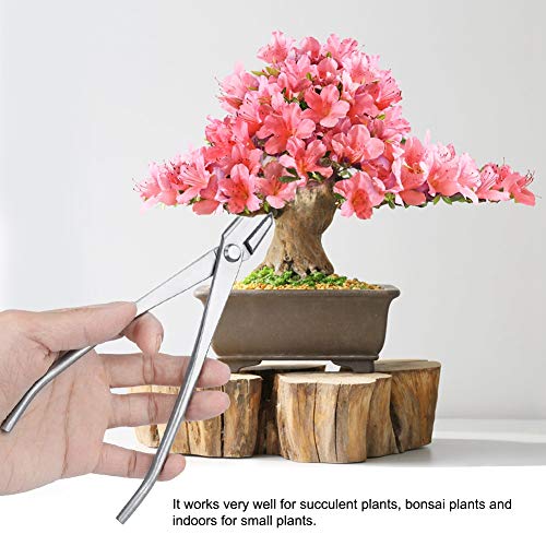 Bonsai Cutter Tool, Gartenpflege Edelstahl Knopfschneider mit runder Kante Gartenarbeit Schneidzange Bonsai Tools