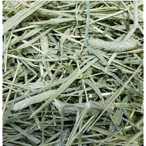 Timothy HAY (0.5 KG) / (500 GRAM) for Rabbits, Guinea Pigs, Rats, Hamsters and Other Small Animals / (HIGH Fiber HAY) / (First Cut HAY)