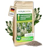 Purgrün® Portugiesischer-Kirschlorbeer-Dünger 1 kg – Extra Magnesium für sattgrüne Blätter – Fördert schnelles Wachstum für eine dichte Hecke – Feines Krümelgranulat für ca. 30 Heckenpflanzen