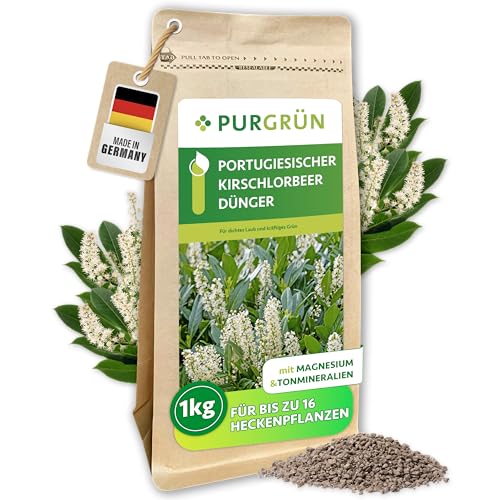 PROTECT GARDEN Lizetan Plus Combistäbchen Schädlingsfrei gegen Blattläuse und andere saugende Schädlinge und Premium-Dünger in Einem, 20 Stück 9 Purgrün® Portugiesischer-Kirschlorbeer-Dünger 1 kg – Extra Magnesium für sattgrüne Blätter – Fördert schnelles Wachstum für eine dichte Hecke – Feines Krümelgranulat für ca. 30 Heckenpflanzen