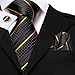 Hi-Tie Black Gold Extra Long Ties for Men Silk 70'' Men's Ties Set Stripe Necktie and Pocket Square Cufflinks for Wedding