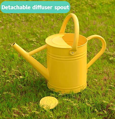 Joequality Watering Can For Outdoor Plants，1 Gallon Metal Plant Watering Can With Detachable Diffuser Spout，Galvanized Steel Gardening Tools，Yellow #TOP3