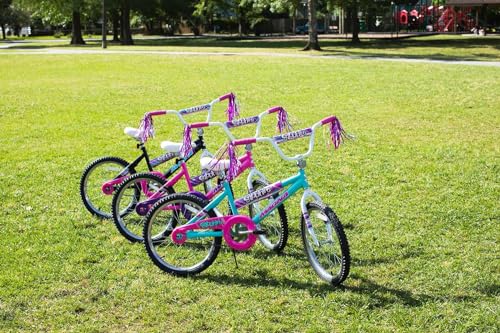 Image of Dynacraft Magna Sapphire Bike - Sturdy Steel Frame, Front and Rear Hand Brakes, Adjustable Seat, Kickstand - Ideal for Ages 6-10, Perfect for Outdoor Riding