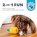 Outward Hound Planet Dog Dental Ananas Dental Chew Toy and Interactive Treat Stuffer Durable Dog Toy Stuffable Dog Toy, Yellow