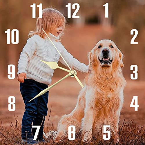 S&H&OU Reloj De Pared Personalizado, Relojes De Pared con Foto para DecoracióN para Sala De Estar, Reloj De Pared Silencioso para NiñOs, Reloj De Tiempo para Colgar En La Pared con Foto Personalizada