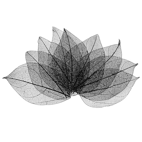 M METERXITY 100-Pack Skeleton Leaves, Natural Rubber Tree Dried Pressed Leaves Vein for Resin/DIY Crafts Card/Scrapbook/Wedding, Small Leaves Decorative [4-6cm, Black]