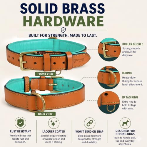 Image of Genuine Leather Dog Collar, Tan, Large, Brass Buckle, Padded | 1.25 Inch Wide, Fit Neck Size - 18.5 inch - 22.5 inch, Double D Ring, Adjustable, Thick Leather, Heavy Duty, Soft Leather padding