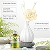 Amazon.com: ap airpleasure Reed Diffuser Set, Home Fragrance ...