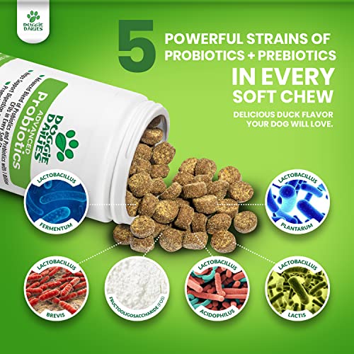 Doggie Dailies Probiotics For Dogs, Advanced Dog Probiotics With Prebiotics, Promotes Digestive Health, Supports Immune System And Overall Health (Duck) #TOP3