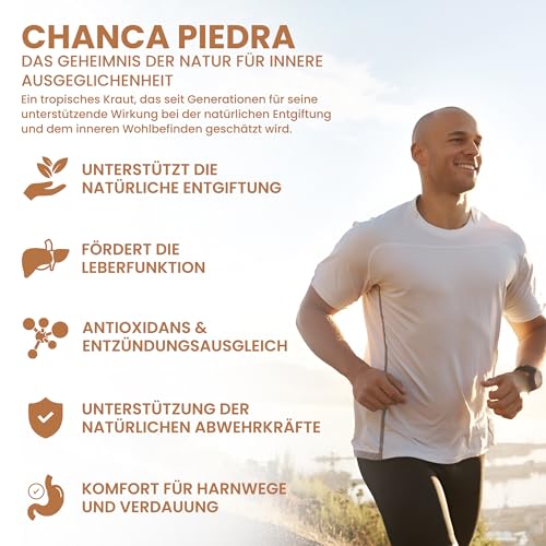 Alzuro Labs Chanca Piedra | 5.000mg Äquivalent (500mg 10:1 Extrakt) | 120 Vegane Kapseln | 4-Monatsvorrat | Laborgeprüft GMP-zertifiziertes Nahrungsergänzungsmittel