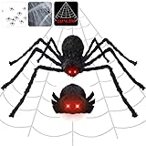 riesenspinnen australien Perfektes Halloween Deko Aussen: Charlemain Halloween Spinne Dekoration Set enthält eine riesige 125cm harrige Spinne, ein dreickiges großes 5mx4.8m Spinnennetz, 20g leicht auseinandeziehende Spinnenseide und 10 kleine Plastikspinnen. Lassen Sie uns Ihr einzigartiges Halloween mit verrücktem Horror dekorieren.