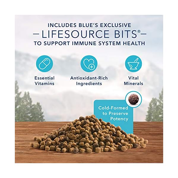 Blue Buffalo Wilderness High Protein, Natural Adult Dry Cat Food