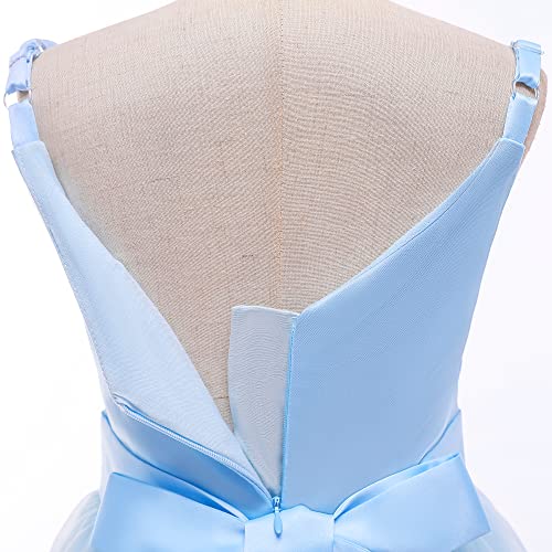 Glamulice Light Blue Flower Girl Dress Lace Bridesmaid Long A Line Princess Wedding Pageant Dresses 8 Tulle Spaghetti Strap Kids Formal Communion Dance Ball Gown Evening Tea Party Prom Ballgown Event #TOP6