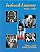 Sectional Anatomy: Study Guide
