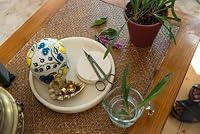 Fiskars Kleine Pflanzenschere mit Halter, Urban Plant Care, Für feine Schnitte an Zimmerpflanzen, Gesamtlänge 17 cm, Edelstahl/Kunststoff, Dunkelgrün/Schwarz, 1075315 – Ansicht 9