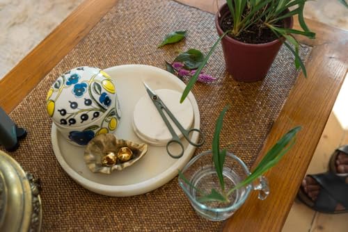 Fiskars Small Plant Shears with Holder, Urban Plant Care, for fine cuts on houseplants, Total Length 17 cm, Stainless Steel/Plastic, Dark Green/Black, 1075315