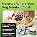 AROMAPET Therapeutic Paw Butter for Dogs - Non-Toxic, Lick-Safe Nose Balm for Dogs + Dog Paw Balm for Dry Cracked Paws - Moisturizing Paw Wax with Coconut Oil for Dogs, Shea Butter, & Vitamin E- 50mL.