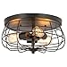 CO-Z 15 Inch Industrial 3-Light Vintage Metal Cage Flush Mount Ceiling Light, Oil Rubbed Bronze Finish, Ceiling Lighting Fixture for Bedroom, Dining Room, Living Room, ETL Listed