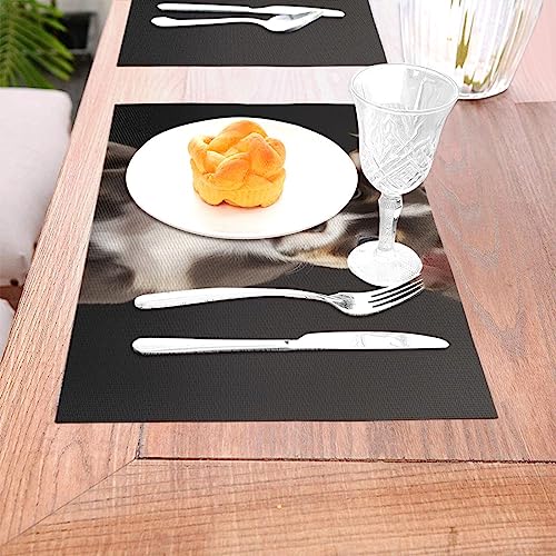 Sets de table imperméables pour repas en extérieur et intérieur