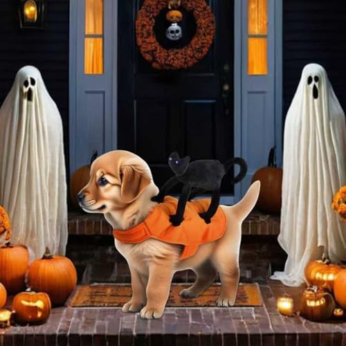 Halloween Haustiere Cosplay Kostüme, Lustige Hundekleidung mit stehender schwarzer Katze, Haustier-Outfit Halloween, lustige Hundekatze Kostüm mit schwarzer Katze, für die Hunde und Katzen (XL)