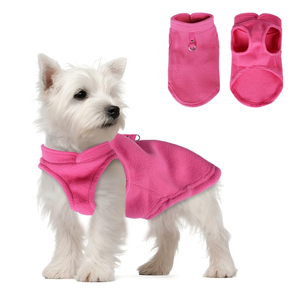 Gilet Rinfrescante FEimaX Per Cani - Giubbotto Di Raffreddamento Estivo Per Taglie Piccole E Medie - Foto 11