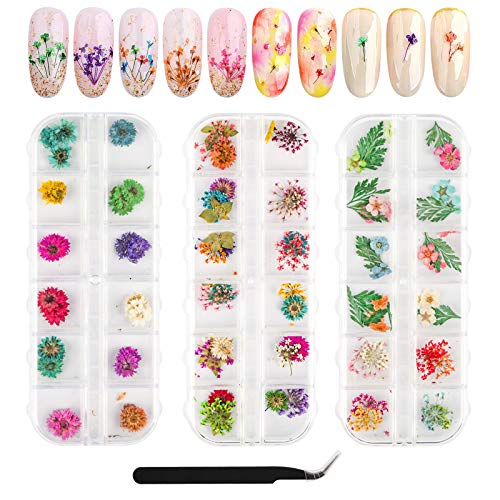 Yarlung 3 Pack Nail Dried Flowers with Tweezer, 36 Colors Mini Natural Real Dry Flowers, 3D Applique Nail Art Stickers for Nail Tips Manicure Decor, Fingernails, Toenails