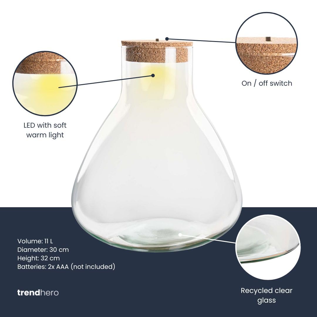 urbanjngl - Terrariumflasche 'Sam XL' - Geschlossenes Terrarium mit LED-Korken, Ø 30 cm, Höhe 32 cm, ideal für Pflanzen und Dekoration, modernes Design für Ihr Zuhause.