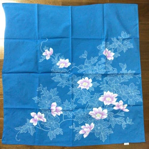 ]ː C~ 72p ACsv iC100