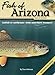 Fish of Arizona Field Guide (Fish Identification Guides)