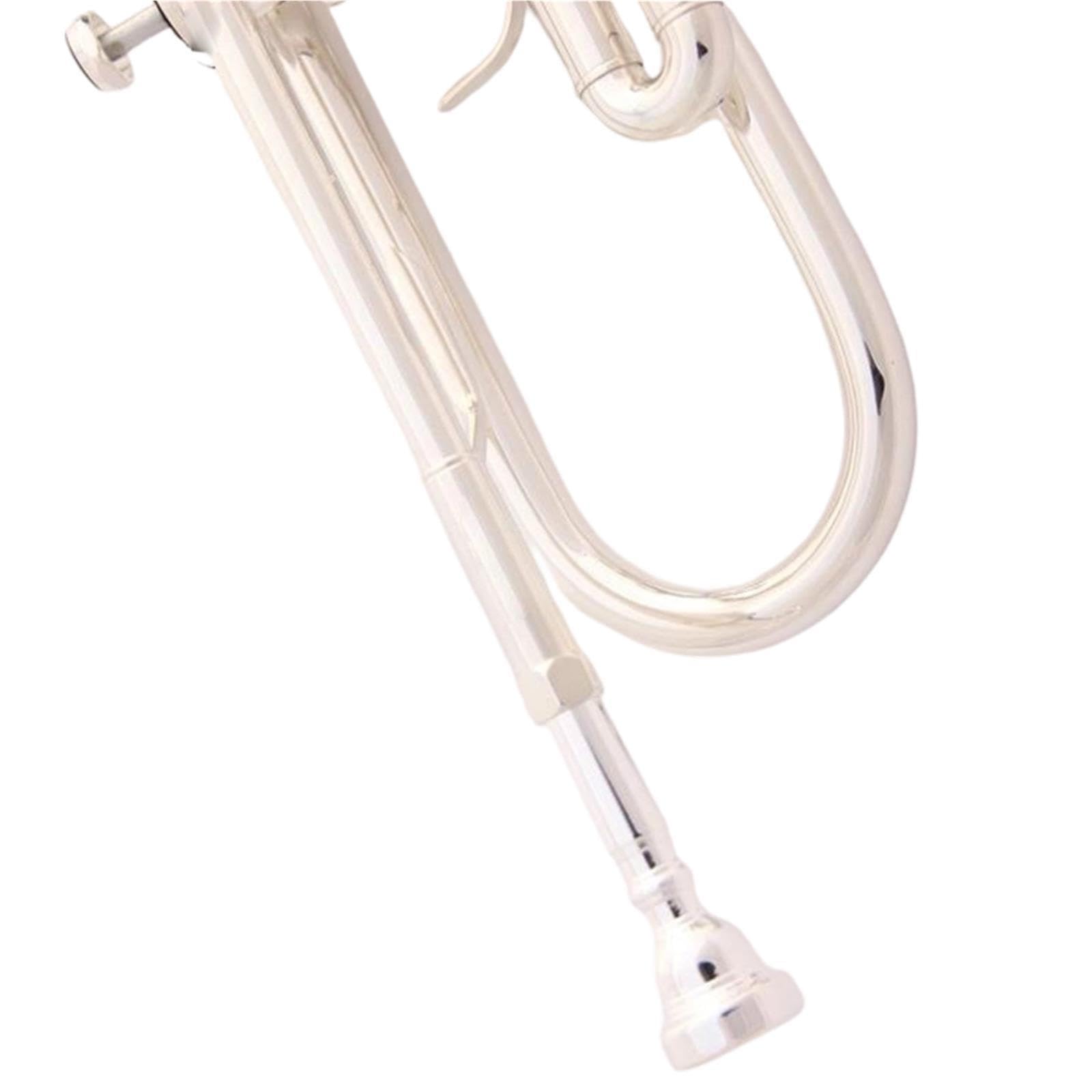 Adult Trumpet Trompette en si bémol pour débutant