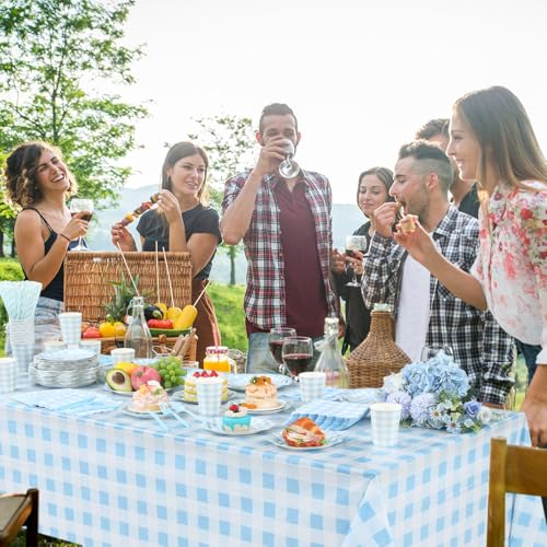 Image of Funnymoom 452 Pcs Blue Gingham Party Supplies for 50 Guests Include White and Blue Checkered Paper Plates Napkins Cups Tablecloth Cutlery Straws for Birthday Baby Shower Wedding Party Decorations