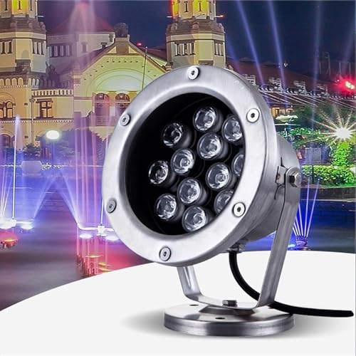 GUODDM Luci Subacquee A LED RGB per Laghetti, Lampada per Fontana Sommergibile da 12 V, Faretto in Acciaio Inossidabile Impermeabile IP68, Luce da Giardino Regolabile(Warm White,9w)
