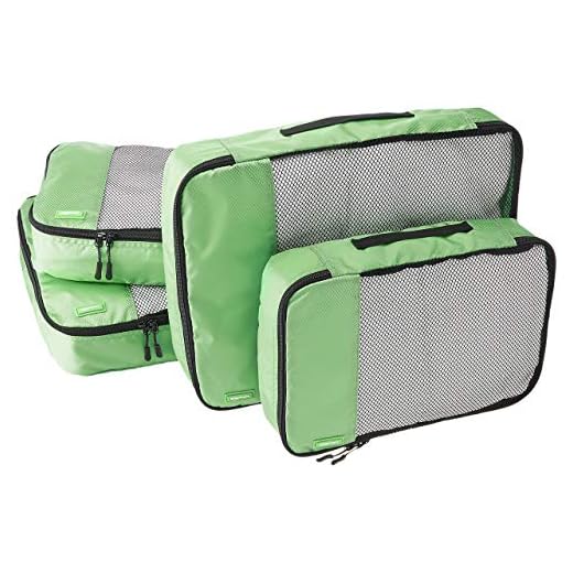 AmazonBasics - Set da 4 cubi organizzatori, 2 misura media e 2 misura grande, Verde