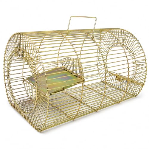 Image of Divayanshi Heavy Duty Rat & Mouse Trap Cage | Strong Iron Wire Pinjara for Catching Small & Large Rats | Safe Reusable Chuha Trap for Home, Warehouse, Food Units & Hotels