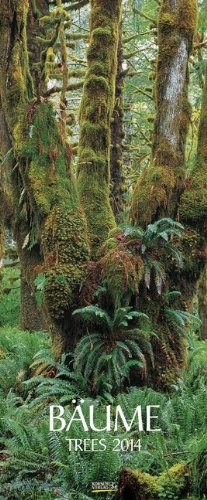 Bäume 2014. PhotoArt Vertikal Kalender Bäume 2014. PhotoArt Vertikal Kalender